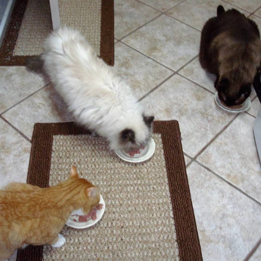 Meet your Posher, Sherri